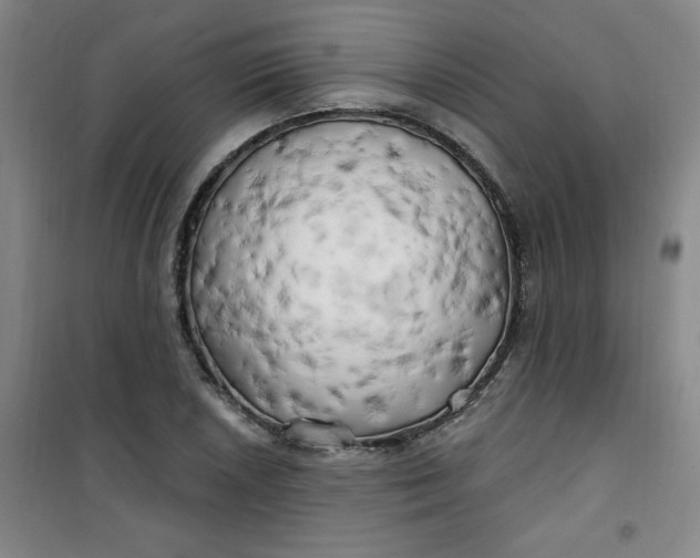 X0000100971026200807151346