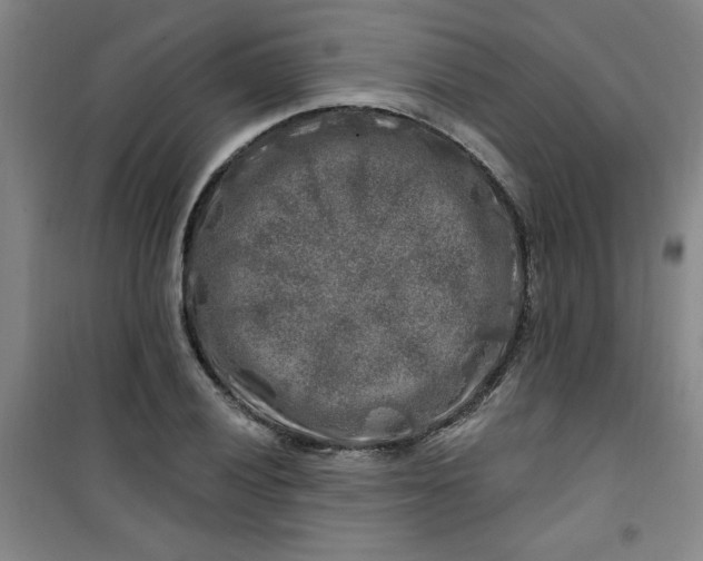 X0000100971028200807151346