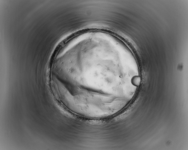 X0000100971029200807151346