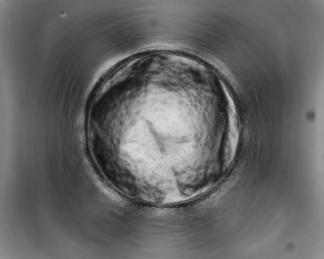 X0000100971030200807151346