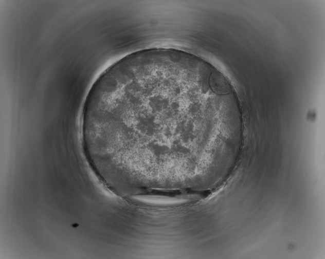 X0000100971032200807151346