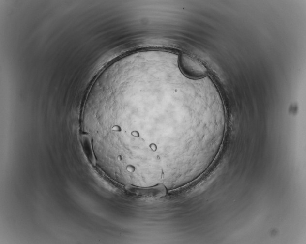 X0000100971033200807151346