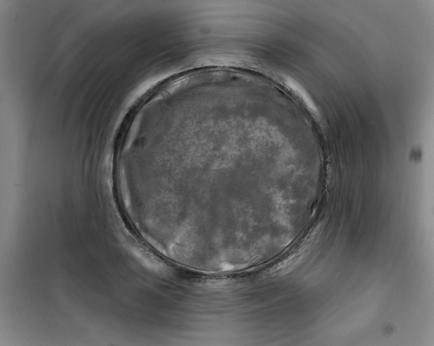 X0000100971035200807151346