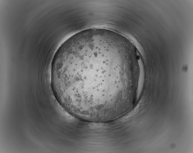 X0000100971036200807151346