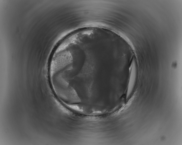 X0000100971037200807151346