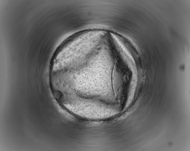 X0000100971038200807151346