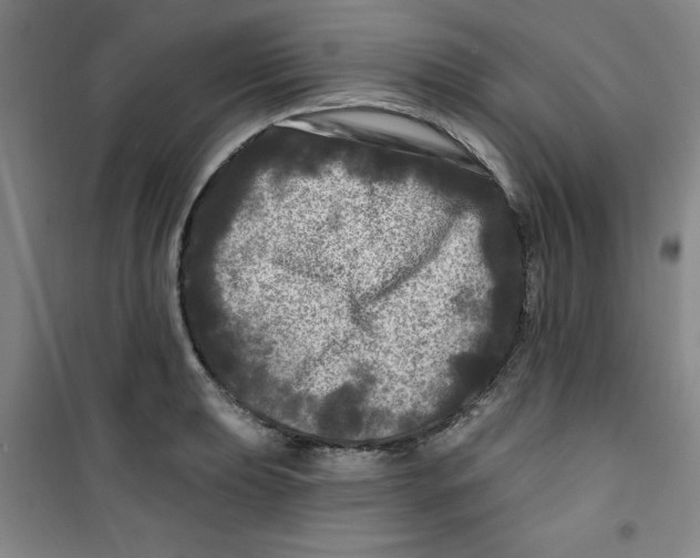 X0000100971039200807151346