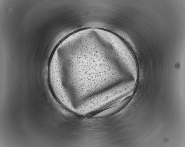 X0000100971040200807151346