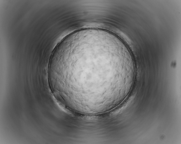 X0000100971041200807151346