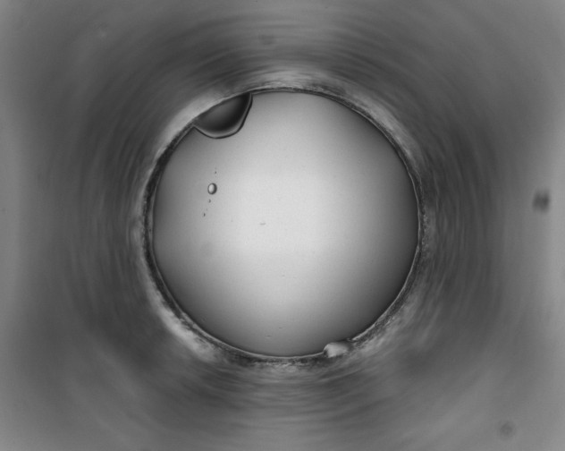 X0000100971042200807151346