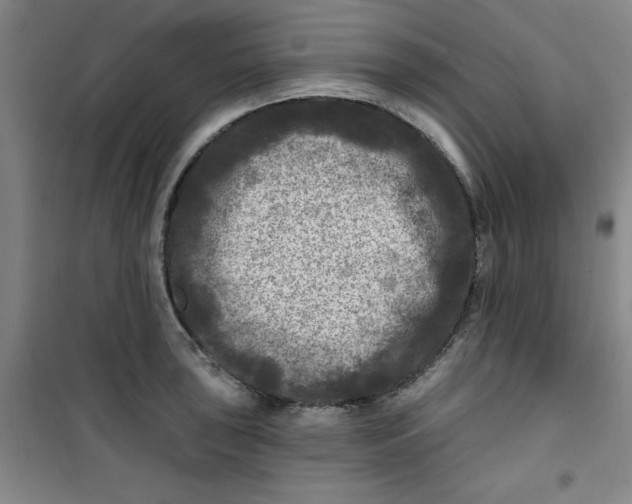 X0000100971043200807151346