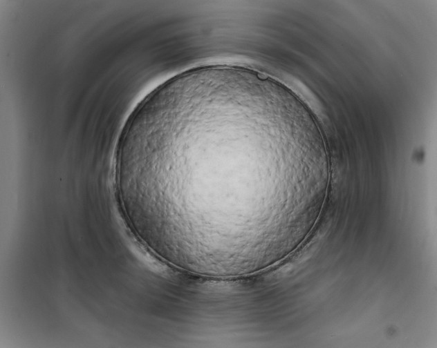 X0000100971044200807151346