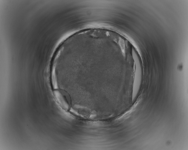 X0000100971045200807151346