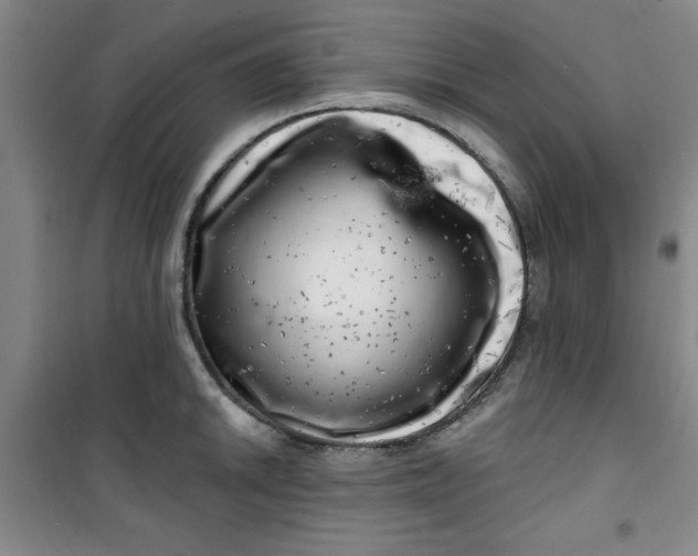 X0000100971046200807151347