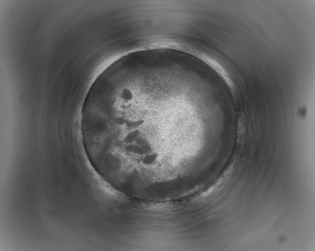 X0000100971047200807151347