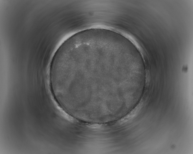 X0000100971048200807151347