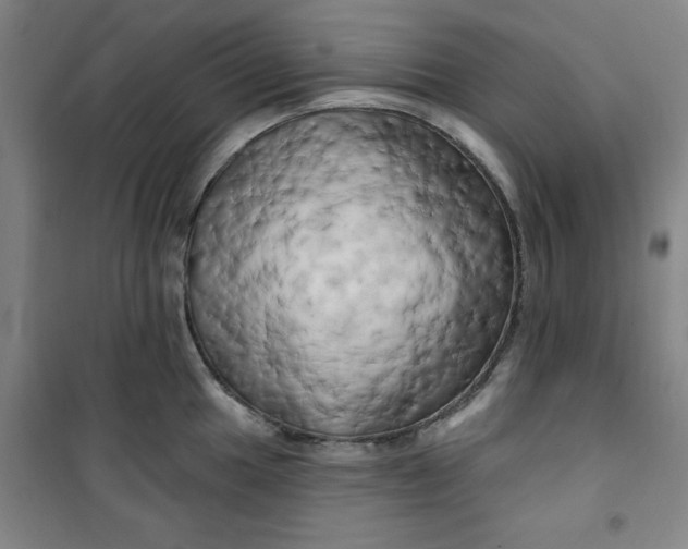 X0000100971049200807151347