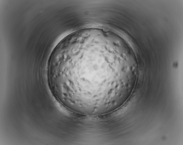 X0000100971050200807151347