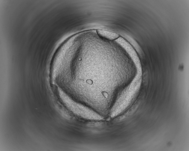 X0000100971051200807151347