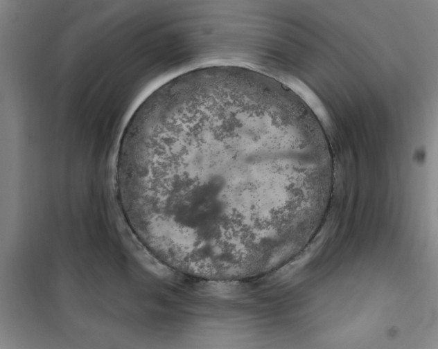 X0000100971052200807151347