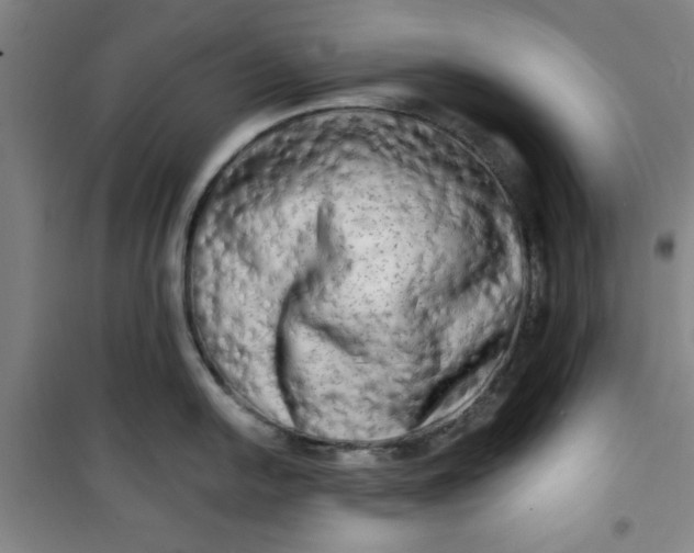 X0000100971054200807151347