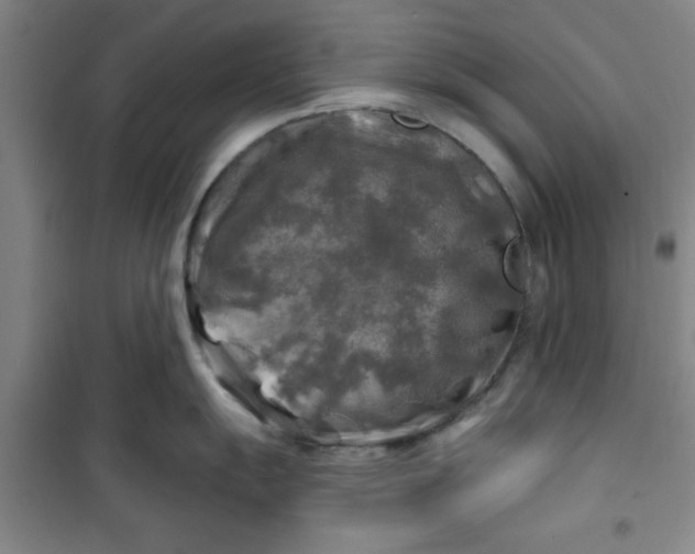 X0000100971055200807151347