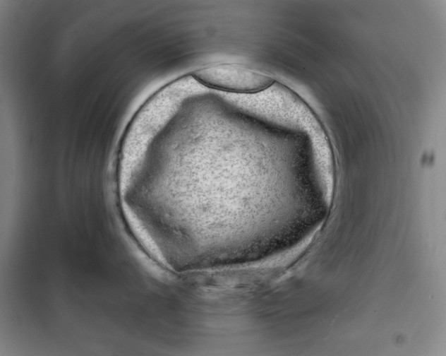 X0000100971056200807151347