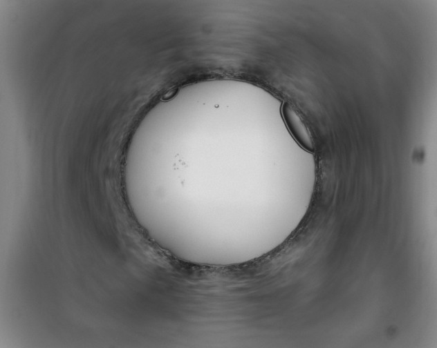 X0000100971057200807151346