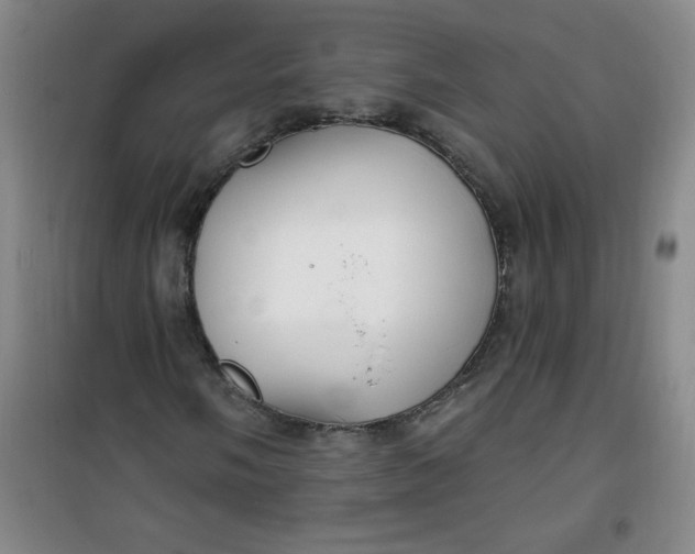 X0000100971058200807151346