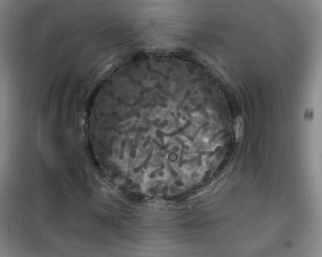 X0000100971059200807151346