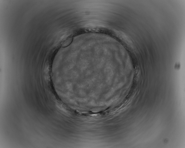 X0000100971060200807151346
