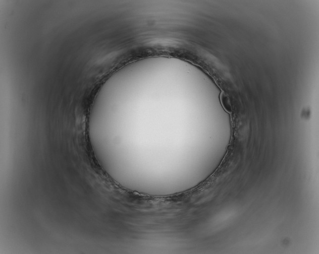 X0000100971061200807151346