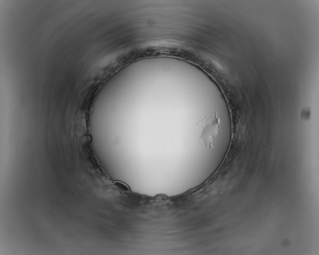 X0000100971062200807151346