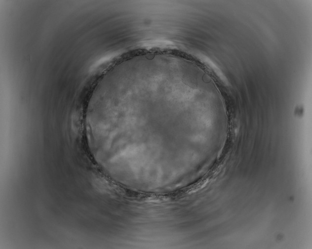 X0000100971063200807151346