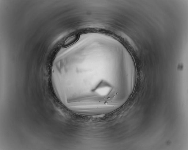 X0000100971064200807151346