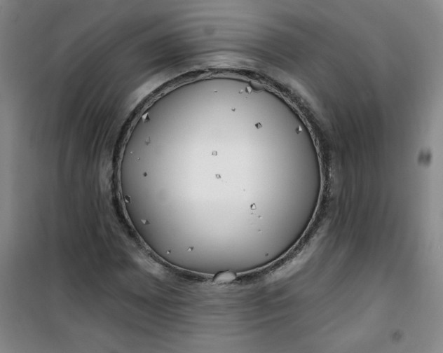 X0000100971065200807151346