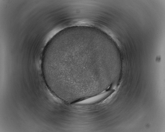 X0000100971066200807151346