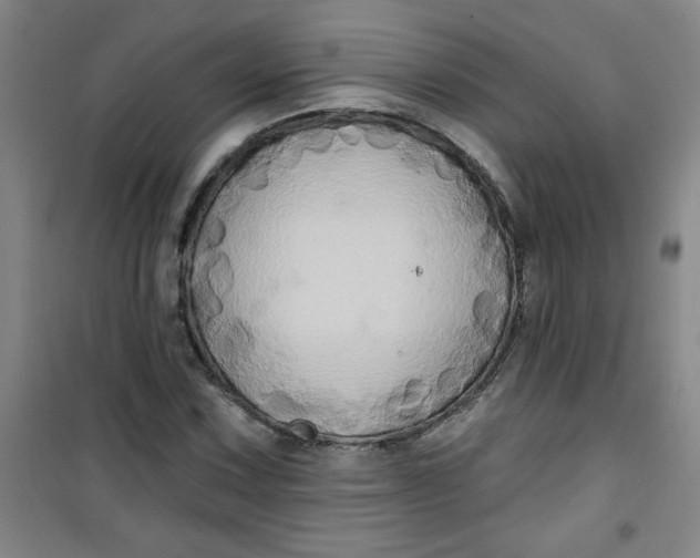 X0000100971067200807151346