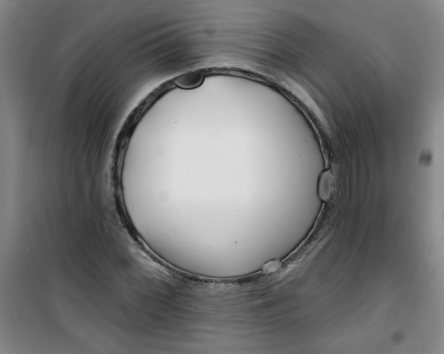 X0000100971068200807151346