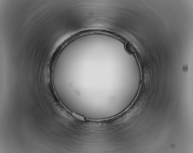 X0000100971069200807151346