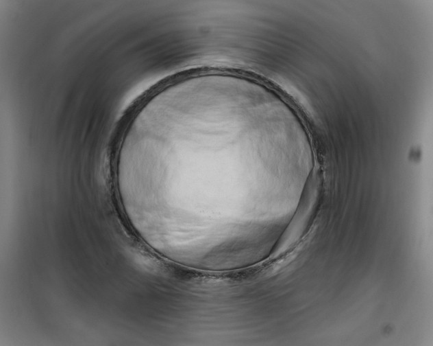 X0000100971070200807151346