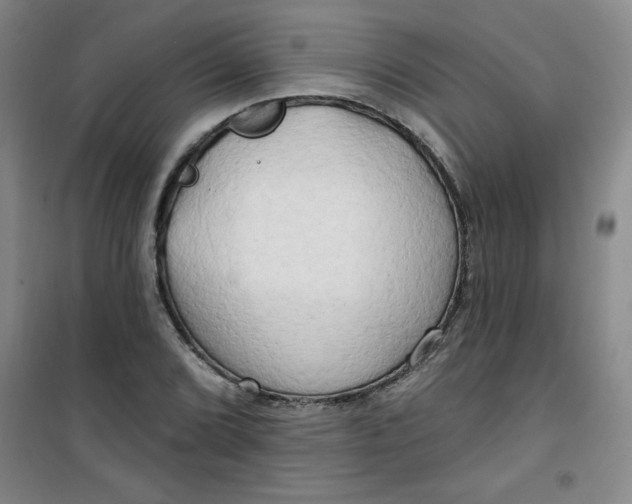 X0000100971072200807151346