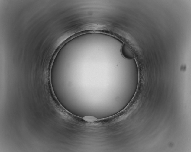 X0000100971073200807151346