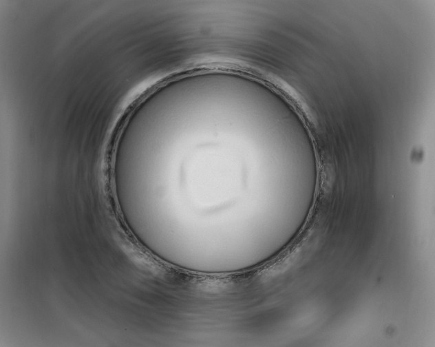 X0000100971074200807151346