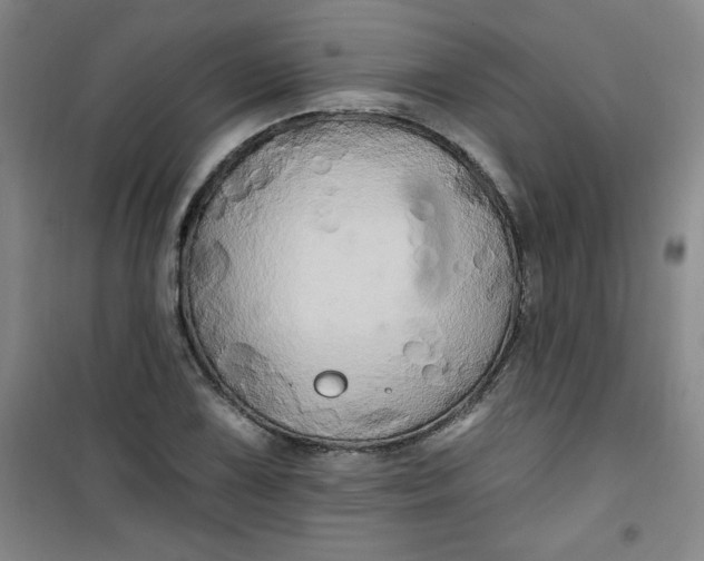 X0000100971075200807151346