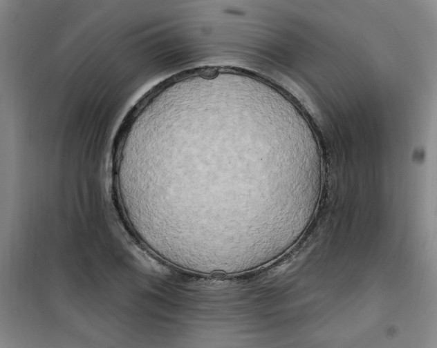X0000100971076200807151346