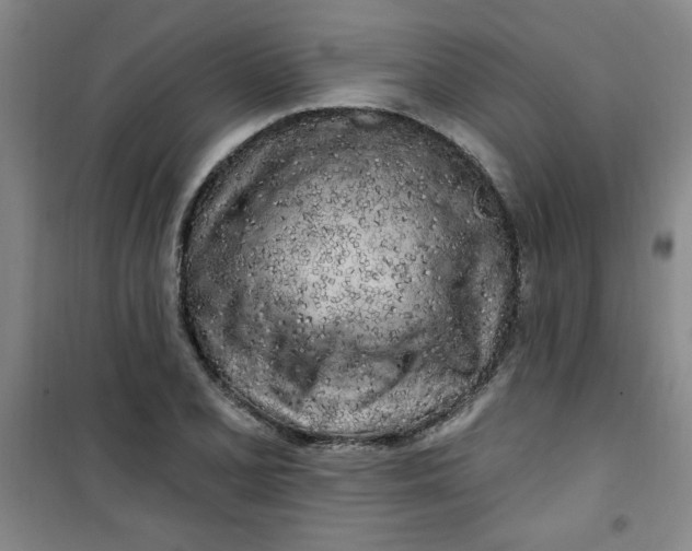X0000100971077200807151346