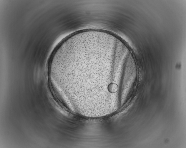 X0000100971078200807151346