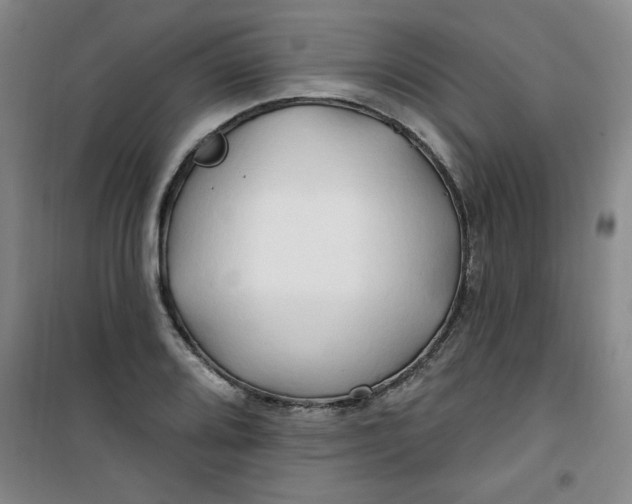 X0000100971080200807151346