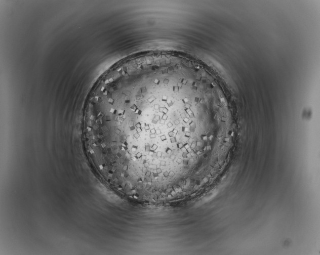 X0000100971081200807151346